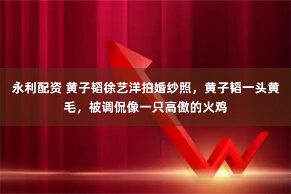 永利配资 黄子韬徐艺洋拍婚纱照，黄子韬一头黄毛，被调侃像一只高傲的火鸡