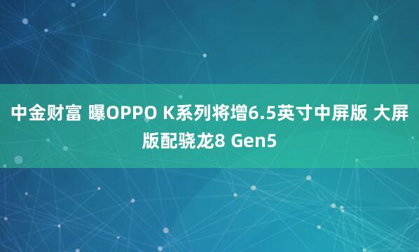 中金财富 曝OPPO K系列将增6.5英寸中屏版 大屏版配骁龙8 Gen5