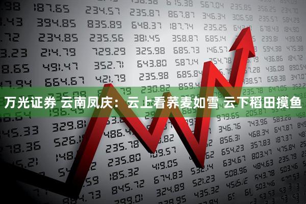 万光证券 云南凤庆：云上看荞麦如雪 云下稻田摸鱼
