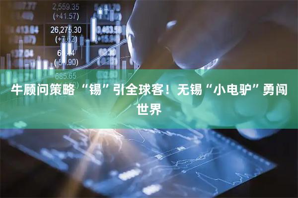 牛顾问策略 “锡”引全球客！无锡“小电驴”勇闯世界