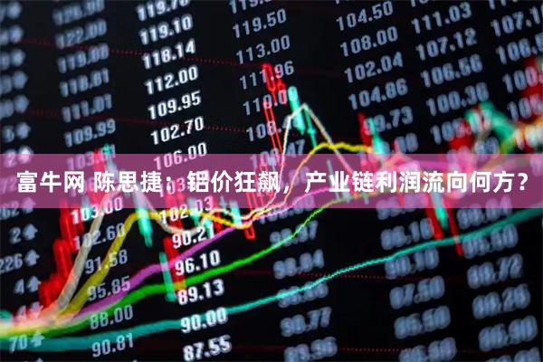 富牛网 陈思捷：铝价狂飙，产业链利润流向何方？
