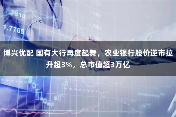 博兴优配 国有大行再度起舞，农业银行股价逆市拉升超3%，总市值超3万亿