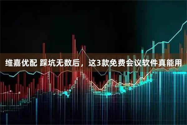 维嘉优配 踩坑无数后，这3款免费会议软件真能用