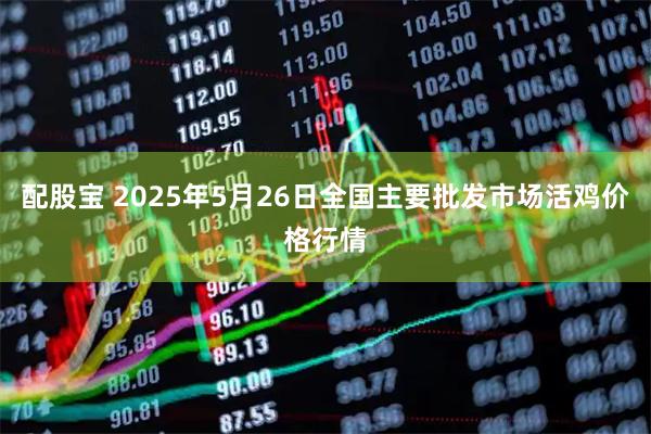 配股宝 2025年5月26日全国主要批发市场活鸡价格行情