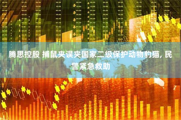 腾思控股 捕鼠夹误夹国家二级保护动物豹猫, 民警紧急救助