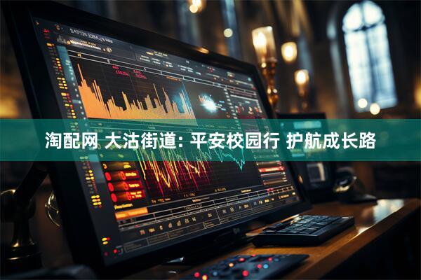 淘配网 大沽街道: 平安校园行 护航成长路
