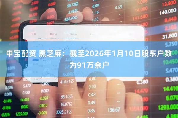 申宝配资 黑芝麻：截至2026年1月10日股东户数为91万余户