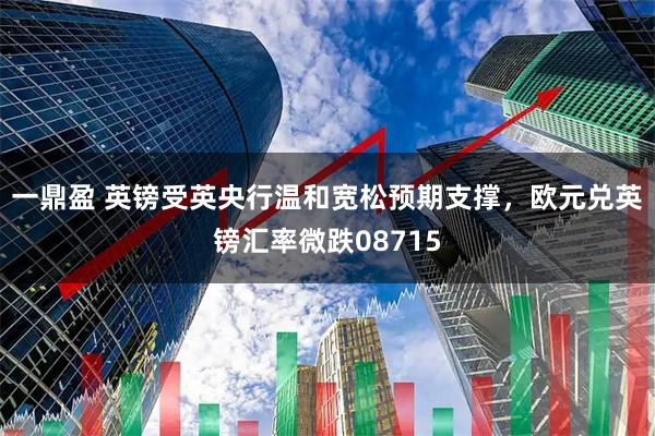 一鼎盈 英镑受英央行温和宽松预期支撑，欧元兑英镑汇率微跌08715