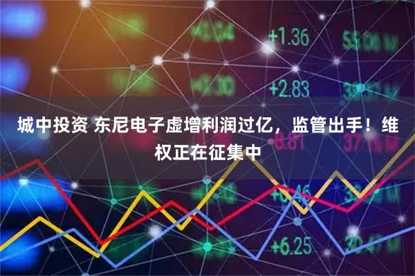 城中投资 东尼电子虚增利润过亿，监管出手！维权正在征集中